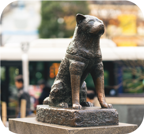 Picture of "Shibuya Hachikō Statue"
